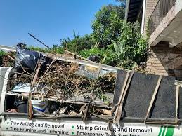 Best Estate Cleanout  in Los Lunas, NM